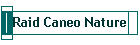 Raid Caneo Nature