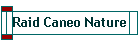 Raid Caneo Nature